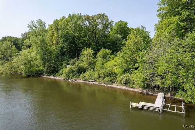 20 Hickory Grove Rd, Spur, Minetto, NY 13069 - dock with a water view and a forest view