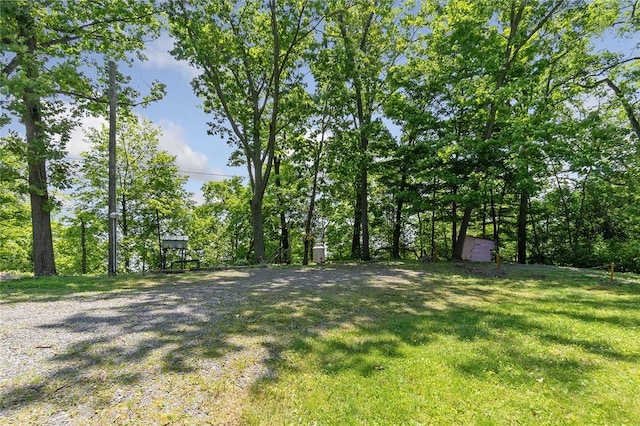 1753 Log Cabin Rd, Torrey, NY 14527 - view of grassy yard featuring a storage unit