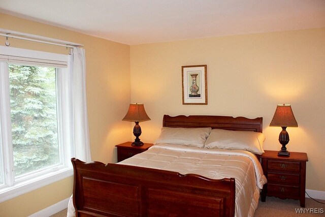 2 Greer Hill Dr, Ellicottville, NY 14731 - photo 33