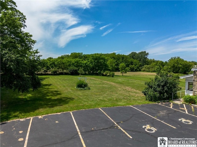 12 Central Ave, Portland, NY 14716 - view of uncovered parking lot