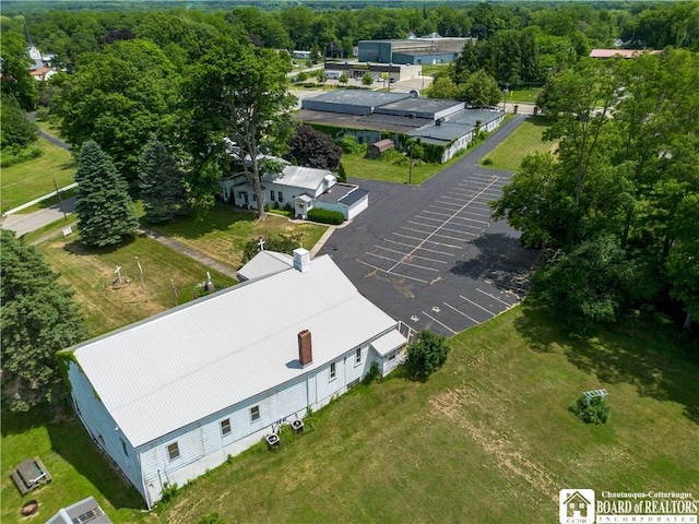 12 Central Ave, Portland, NY 14716 - drone / aerial view