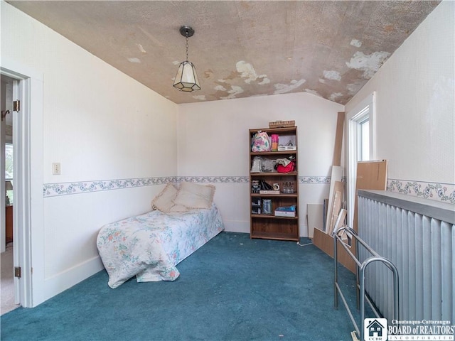 12 Central Ave, Portland, NY 14716 - bedroom with lofted ceiling and dark carpet