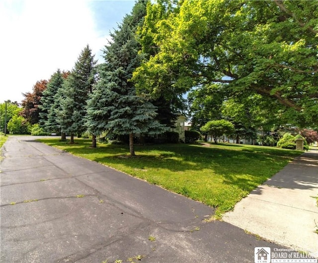 12 Central Ave, Portland, NY 14716 - view of street with view of scattered trees