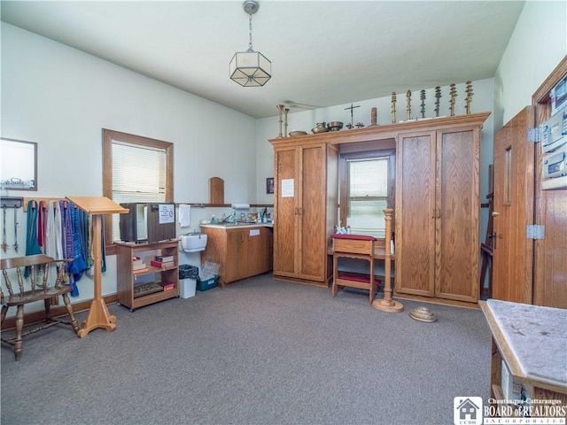 12 Central Ave, Portland, NY 14716 - misc room featuring carpet floors and plenty of natural light