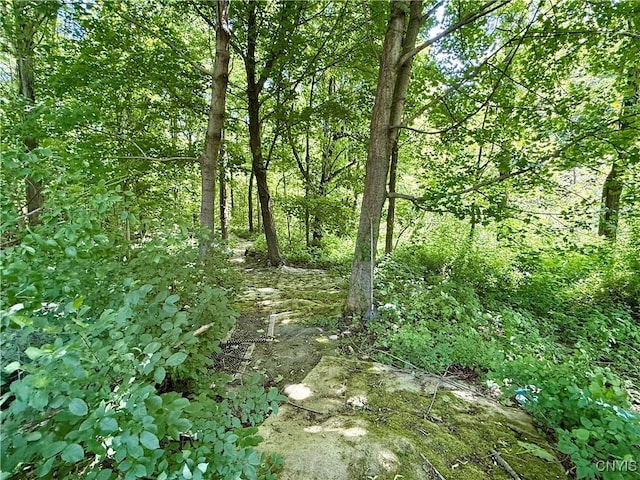 3860 County Route 6, New Haven, NY 13126 - photo 25