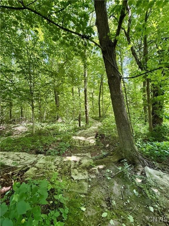 3860 County Route 6, New Haven, NY 13126 - photo 26