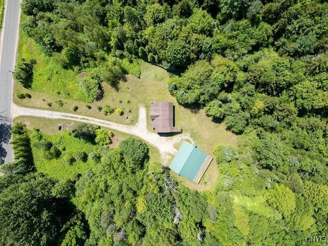 203 Jerseyfield Rd, Salisbury, NY 13365 - photo 12