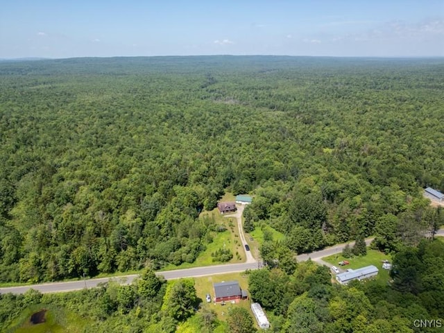 203 Jerseyfield Rd, Salisbury, NY 13365 - photo 15