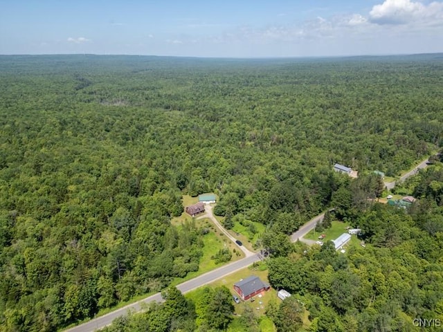 203 Jerseyfield Rd, Salisbury, NY 13365 - photo 16