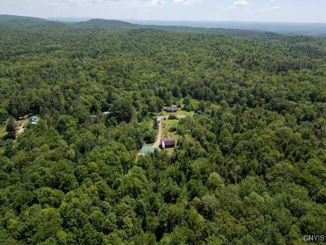 203 Jerseyfield Rd, Salisbury, NY 13365 - photo 18