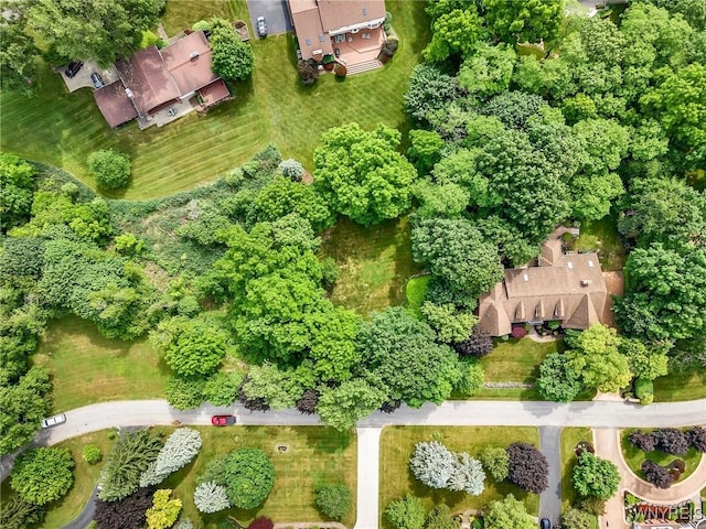 9555 The Maples, Clarence, NY 14031 - aerial view of property and surrounding area