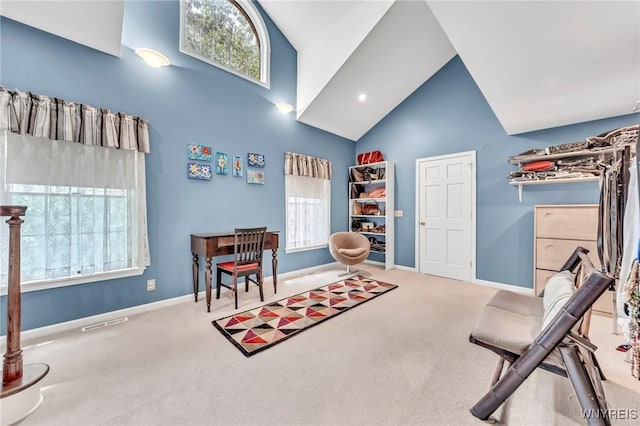 9555 The Maples, Clarence, NY 14031 - exercise room featuring high vaulted ceiling and carpet flooring