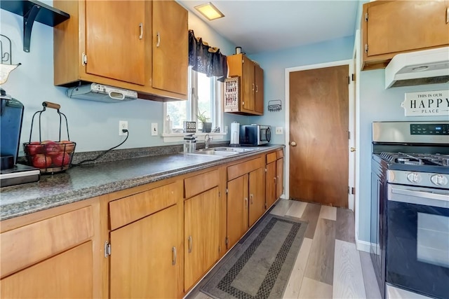 85 Campfire Rd N, Henrietta, NY 14467 - kitchen featuring stainless steel appliances, dark countertops, extractor fan, light wood-style floors, and brown cabinets