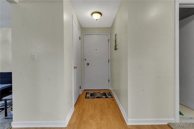 335 S Cayuga Rd Unit B, Amherst, NY 14221 - doorway to outside with light wood finished floors and baseboards