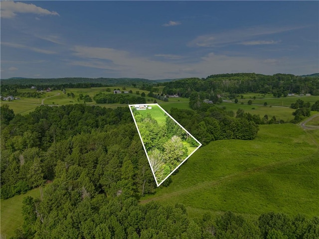 362 Taylor Rd, Exeter, NY 13439 - photo 4