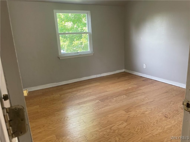 726 Taunton Pl, Buffalo, NY 14214 - photo 7