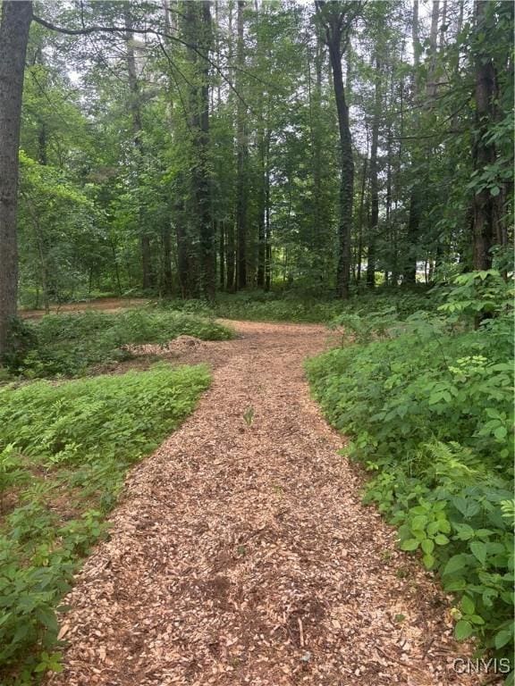 3036 Haskins Rd, Vienna, NY 13308 - photo 18