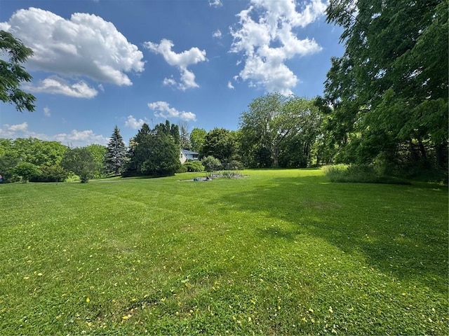 4794 State Route 14th Hwy, Geneva Town, NY 14456 - photo 5