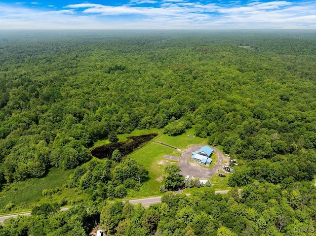 3653 County Route 17, Williamstown, NY 13493 - photo 48