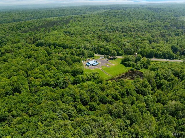 3653 County Route 17, Williamstown, NY 13493 - photo 49