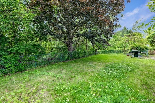 44 Deuro Dr, Niagara Falls, NY 14304 - view of yard
