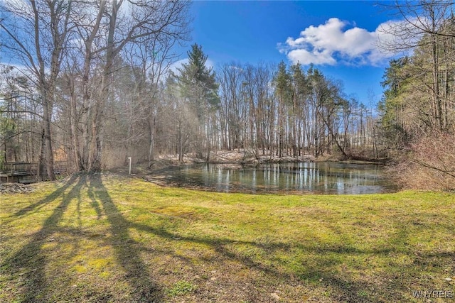 9853 Warner Gulf Rd, Holland, NY 14080 - photo 13