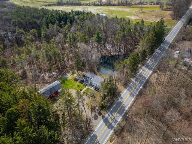 9853 Warner Gulf Rd, Holland, NY 14080 - photo 46