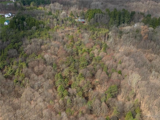 9853 Warner Gulf Rd, Holland, NY 14080 - photo 50