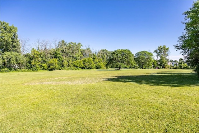996 Summer Creek Ln, Webster, NY 14580 - view of green lawn