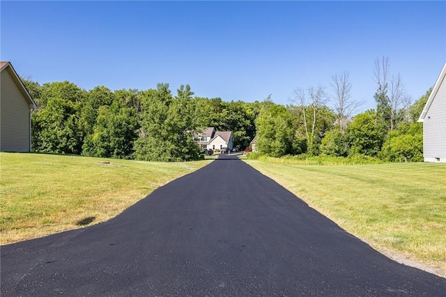 996 Summer Creek Ln, Webster, NY 14580 - view of street