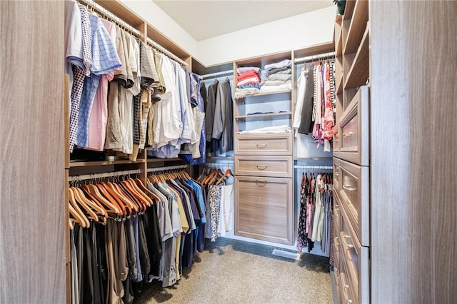 996 Summer Creek Ln, Webster, NY 14580 - spacious closet with carpet floors