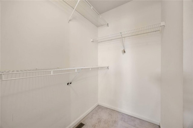 18 Butterfly Ln, Henrietta, NY 14586 - walk in closet with light carpet