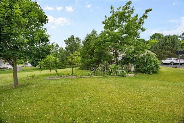 18 Butterfly Ln, Henrietta, NY 14586 - view of grassy yard featuring a vegetable garden