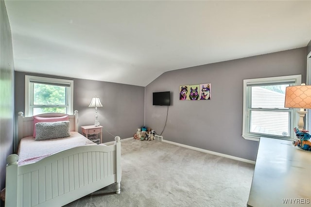 170 Sargent Dr, Amherst, NY 14226 - bedroom featuring lofted ceiling and carpet