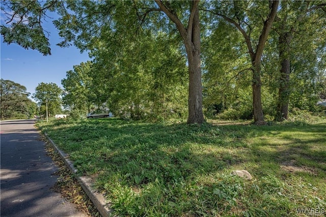 78 Lincolnshire Dr, Lockport, NY 14094 - photo 5