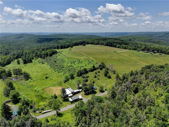 212 Hill Rd, Danby, NY 14001 - aerial view of sparsely populated area with a forest