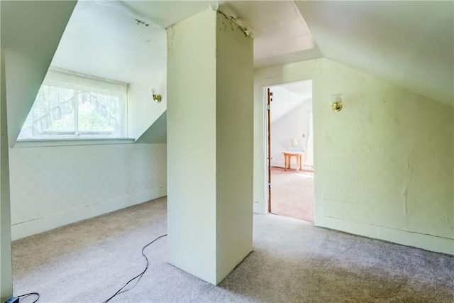 212 Hill Rd, Danby, NY 14001 - additional living space with carpet floors and vaulted ceiling