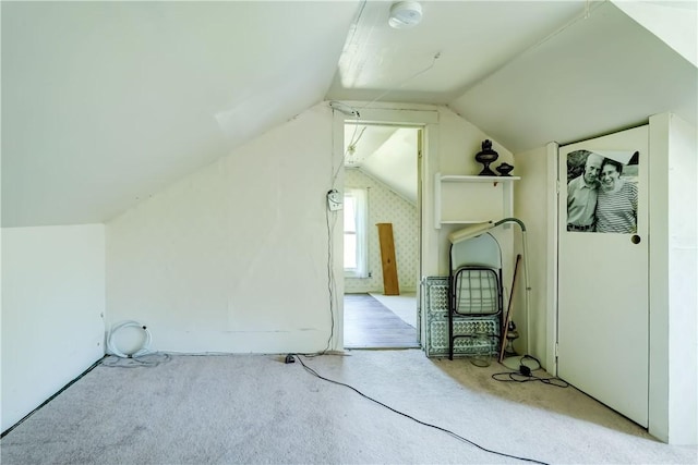 212 Hill Rd, Danby, NY 14001 - bonus room with lofted ceiling and carpet floors