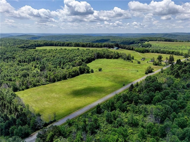 172 Hill Rd, Danby, NY 14850