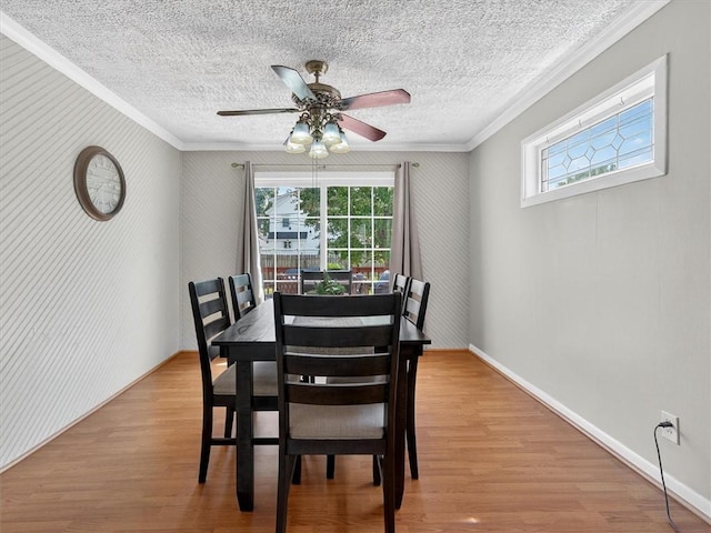 55 Morville Dr, Rochester, NY 14615 - dining area featuring crown molding, plenty of natural light, light wood-style flooring, a ceiling fan, and a textured ceiling