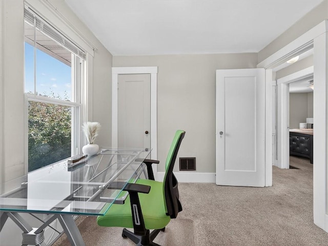 55 Morville Dr, Rochester, NY 14615 - office featuring carpet and baseboards