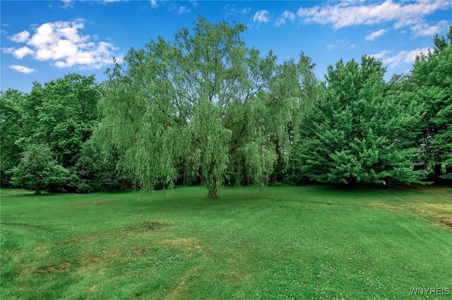 11914 Clinton St, Marilla, NY 14004 - photo 46