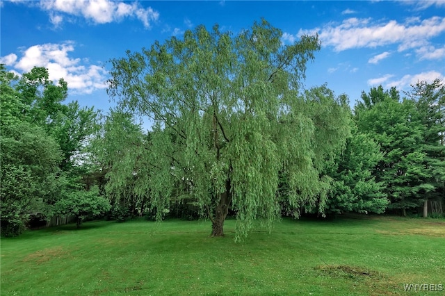 11914 Clinton St, Marilla, NY 14004 - photo 47