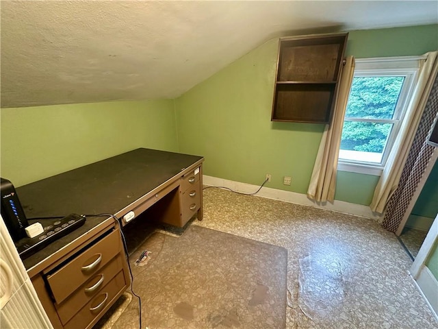 22 N Main St, Elba, NY 14058 - office area with vaulted ceiling and a textured ceiling