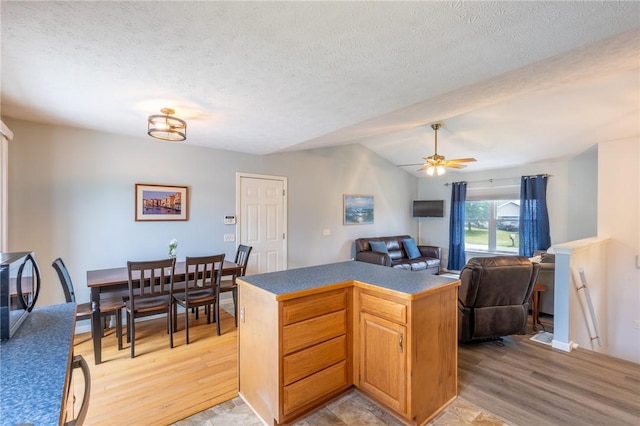 11 Wenrich Cir, Henrietta, NY 14586 - kitchen with black microwave, light wood-style floors, open floor plan, vaulted ceiling, and a textured ceiling