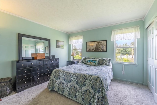 11 Wenrich Cir, Henrietta, NY 14586 - bedroom featuring crown molding, carpet floors, multiple windows, and a textured ceiling