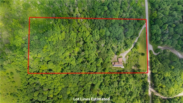 4570 Vine Rd, Jerusalem, NY 14527 - aerial view of property and surrounding area featuring property boundaries highlighted