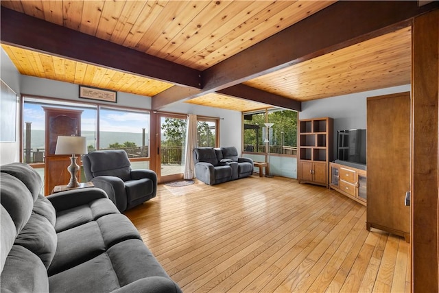 4570 Vine Rd, Jerusalem, NY 14527 - living area featuring light wood-style floors and a wood ceiling with exposed beams