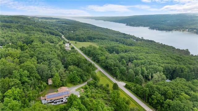 4570 Vine Rd, Jerusalem, NY 14527 - drone / aerial view of a nearby body of water
