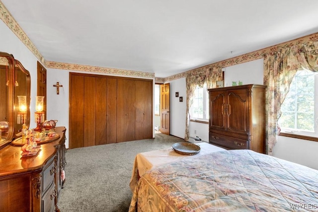 1581 N Forest Rd, Amherst, NY 14221 - bedroom featuring carpet and a closet